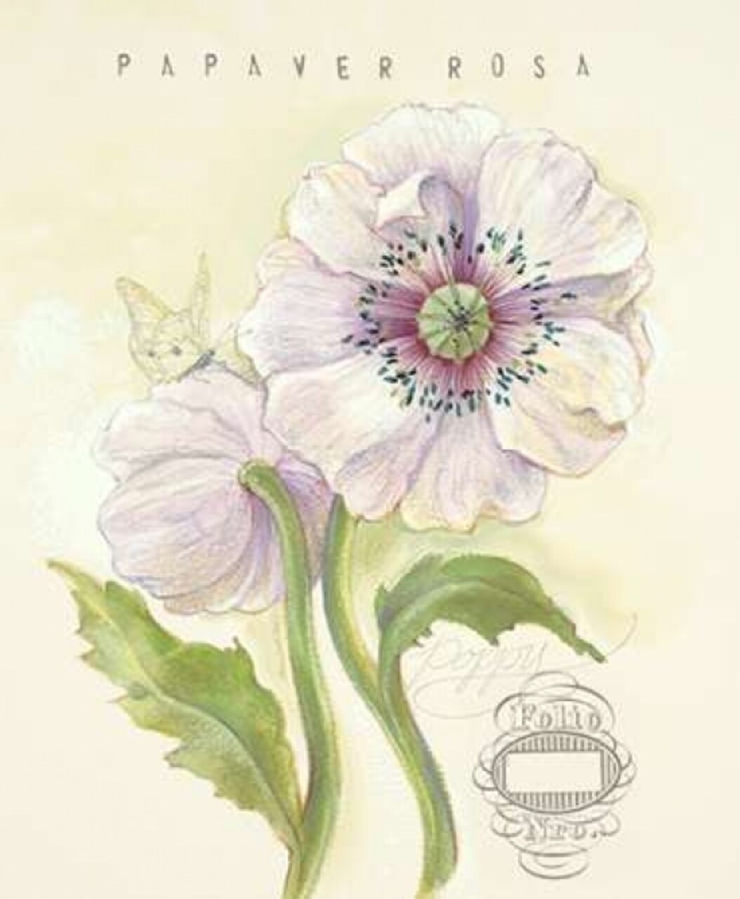 Claires Garden Poppy Poster Print by Elissa Della-Piana - Item # VARPDX360DEL1016CI
